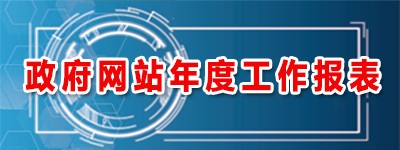 政府网站年度工作报表.jpg